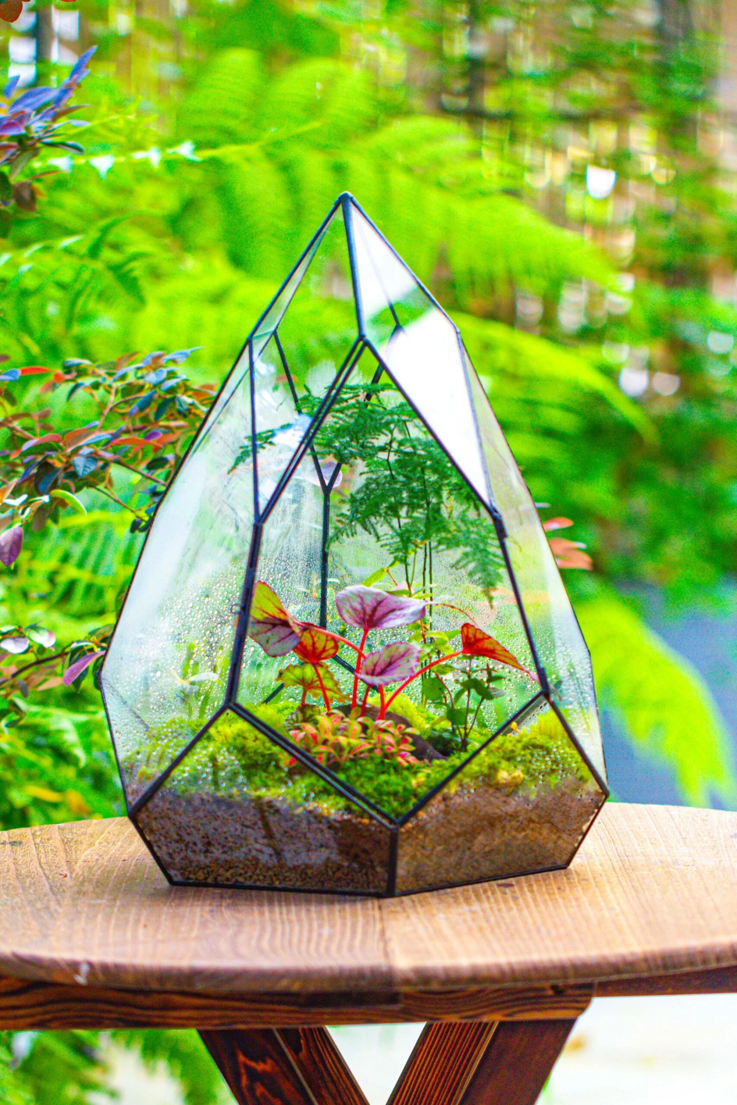 Large 16" Tall And Wide Teardrop Tin And Glass Terrarium, Close, With Door 14 Large 16" Tall And Wide Teardrop Tin And Glass Terrarium, Close, With Door - Image 12