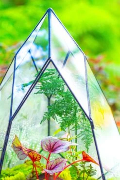 Large 16" Tall And Wide Teardrop Tin And Glass Terrarium, Close, With Door 34 Large 16" Tall And Wide Teardrop Tin And Glass Terrarium, Close, With Door -Terrarium Plant Hub IMG 1309