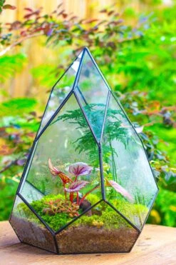 Large 16" Tall And Wide Teardrop Tin And Glass Terrarium, Close, With Door 37 Large 16" Tall And Wide Teardrop Tin And Glass Terrarium, Close, With Door -Terrarium Plant Hub IMG 1314