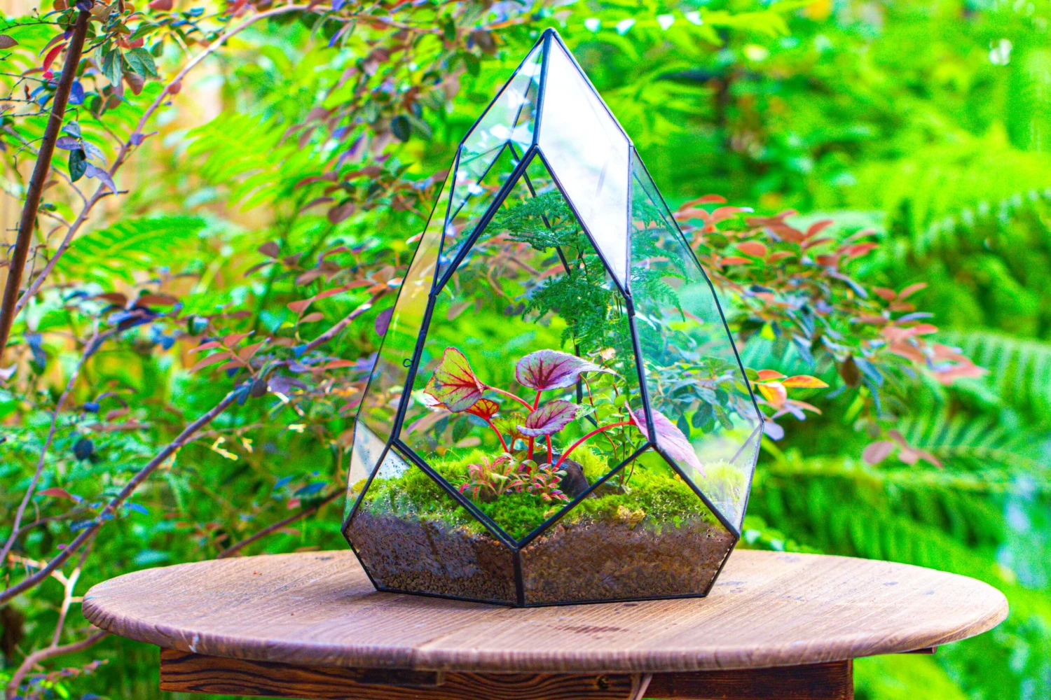 Large 16" Tall And Wide Teardrop Tin And Glass Terrarium, Close, With Door 19 Large 16" Tall And Wide Teardrop Tin And Glass Terrarium, Close, With Door - Image 17