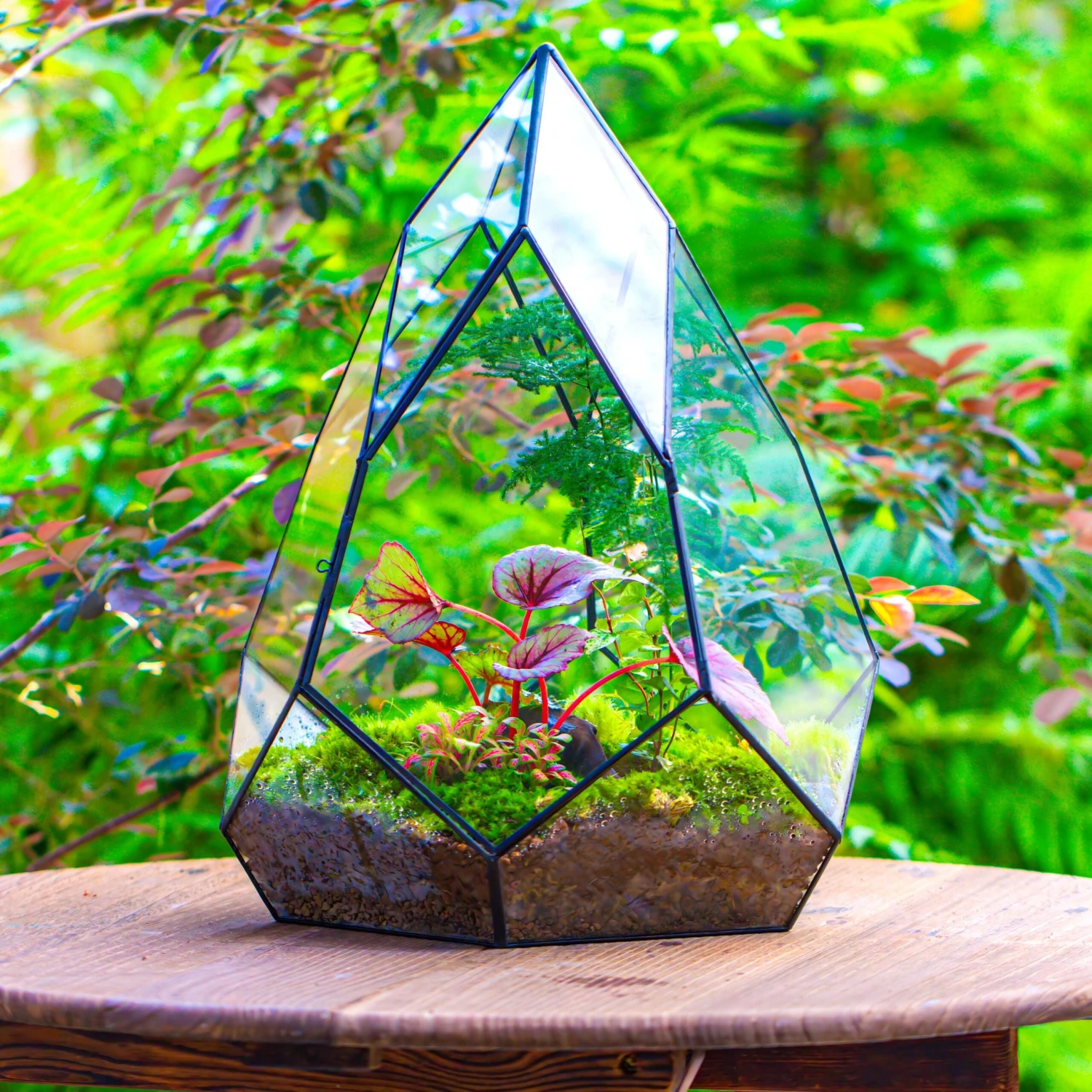 Large 16" Tall And Wide Teardrop Tin And Glass Terrarium, Close, With Door 6 Large 16" Tall And Wide Teardrop Tin And Glass Terrarium, Close, With Door - Image 4