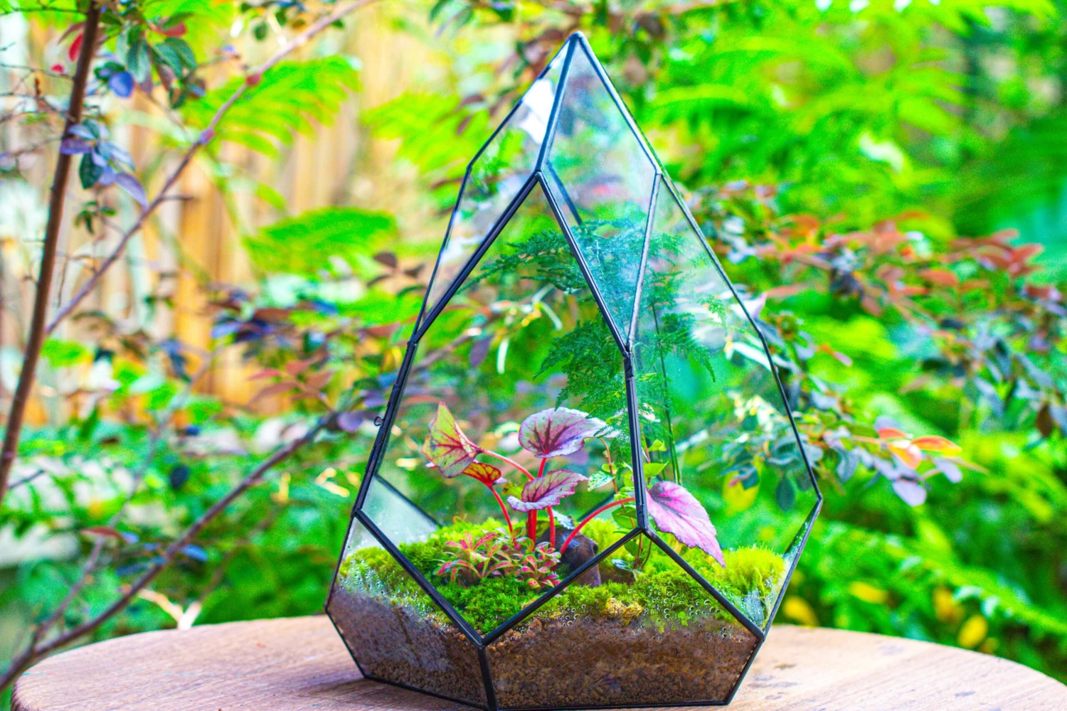 Large 16" Tall And Wide Teardrop Tin And Glass Terrarium, Close, With Door 20 Large 16" Tall And Wide Teardrop Tin And Glass Terrarium, Close, With Door - Image 18