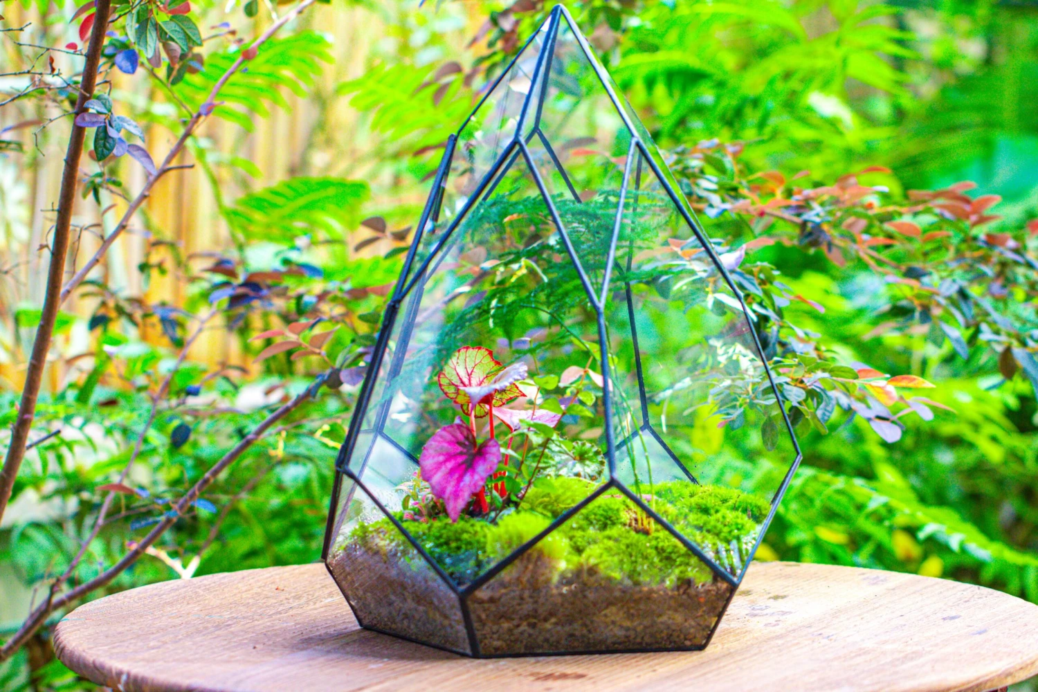 Large 16" Tall And Wide Teardrop Tin And Glass Terrarium, Close, With Door 21 Large 16" Tall And Wide Teardrop Tin And Glass Terrarium, Close, With Door - Image 19