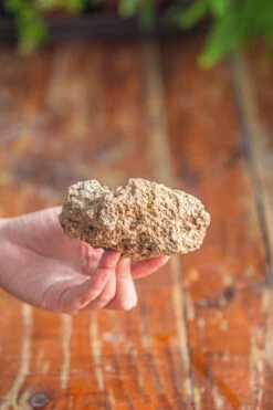 Natural Limestone Rock For Moss, Bonsai, Hydroponic Planting, 500-700G -Terrarium Plant Hub IMG 1319