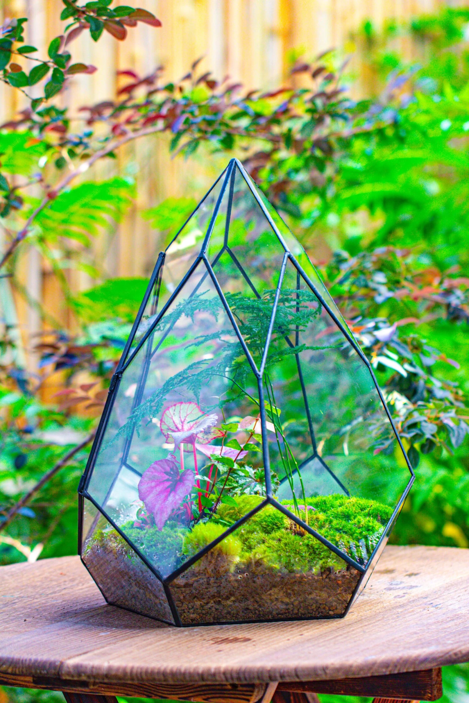 Large 16" Tall And Wide Teardrop Tin And Glass Terrarium, Close, With Door 22 Large 16" Tall And Wide Teardrop Tin And Glass Terrarium, Close, With Door - Image 20