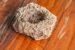 Natural Limestone Rock For Moss, Bonsai, Hydroponic Planting, 500-700G -Terrarium Plant Hub IMG 1321