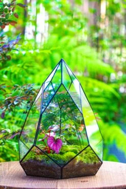 Large 16" Tall And Wide Teardrop Tin And Glass Terrarium, Close, With Door 36 Large 16" Tall And Wide Teardrop Tin And Glass Terrarium, Close, With Door -Terrarium Plant Hub IMG 1321 021bad38 518f 4734 b4a5 02150e9a53f6