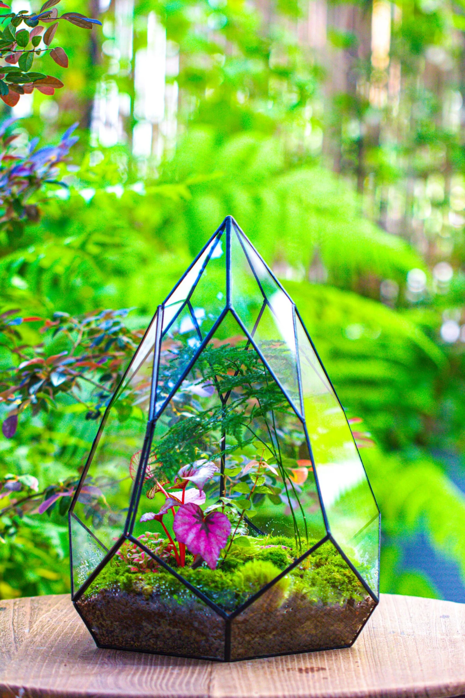 Large 16" Tall And Wide Teardrop Tin And Glass Terrarium, Close, With Door 17 Large 16" Tall And Wide Teardrop Tin And Glass Terrarium, Close, With Door - Image 15