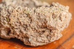 Natural Limestone Rock For Moss, Bonsai, Hydroponic Planting, 500-700G -Terrarium Plant Hub IMG 1323