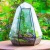 Large 16" Tall And Wide 6 Sided Cone Tin And Glass Terrarium, Close, With Door -Terrarium Plant Hub IMG 1329