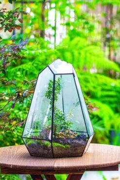 Large 16" Tall And Wide 6 Sided Cone Tin And Glass Terrarium, Close, With Door -Terrarium Plant Hub IMG 1330 1