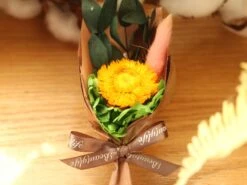 Dried Flowers Terrarium Gift Set Dried Strawflower Bouquet In Glass Tube -Terrarium Plant Hub IMG 1338 1