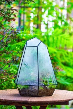 Large 16" Tall And Wide 6 Sided Cone Tin And Glass Terrarium, Close, With Door -Terrarium Plant Hub IMG 1339 5cb1e65d 56db 4b4d 85f0 ce9893af7921