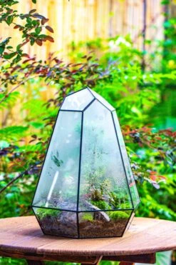 Large 16" Tall And Wide 6 Sided Cone Tin And Glass Terrarium, Close, With Door -Terrarium Plant Hub IMG 1340 2eb42963 e1c4 4193 8a3e 85923ceb7502