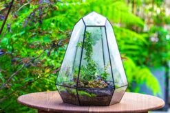 Large 16" Tall And Wide 6 Sided Cone Tin And Glass Terrarium, Close, With Door -Terrarium Plant Hub IMG 1342 dcdde929 1264 4c67 9628 2c7329084e67