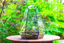Large 16" Tall And Wide 6 Sided Cone Tin And Glass Terrarium, Close, With Door -Terrarium Plant Hub IMG 1343 6493b8d5 d305 4ec8 a405 44123c7cdecc
