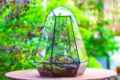 Large 16" Tall And Wide 6 Sided Cone Tin And Glass Terrarium, Close, With Door -Terrarium Plant Hub IMG 1344 a5c832f1 9b37 4c8c a11d e7878506c72d