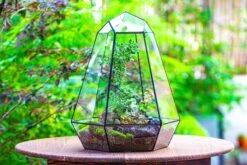 Large 16" Tall And Wide 6 Sided Cone Tin And Glass Terrarium, Close, With Door -Terrarium Plant Hub IMG 1345 85abeb35 6aee 4951 a202 8306a34e34bf