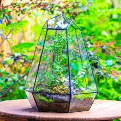 Large 16" Tall And Wide 6 Sided Cone Tin And Glass Terrarium, Close, With Door -Terrarium Plant Hub IMG 1346 1 75816684 c20d 4b1c adbd 44e2c8f31724