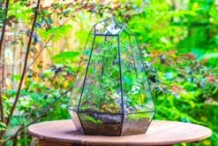 Large 16" Tall And Wide 6 Sided Cone Tin And Glass Terrarium, Close, With Door -Terrarium Plant Hub IMG 1346 2ca5d340 9caa 4448 8c0c 9de7bb45bedf