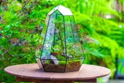 Large 16" Tall And Wide 6 Sided Cone Tin And Glass Terrarium, Close, With Door -Terrarium Plant Hub IMG 1352