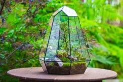 Large 16" Tall And Wide 6 Sided Cone Tin And Glass Terrarium, Close, With Door -Terrarium Plant Hub IMG 1353 2