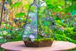 Large 16" Tall And Wide 6 Sided Cone Tin And Glass Terrarium, Close, With Door -Terrarium Plant Hub IMG 1354