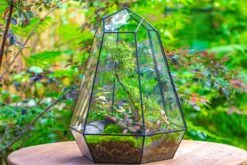Large 16" Tall And Wide 6 Sided Cone Tin And Glass Terrarium, Close, With Door -Terrarium Plant Hub IMG 1356 2