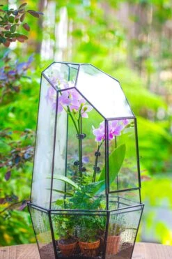 Large 2-Part 18.9" Tall Close Glass Terrarium For Orchid, Fern, Moss, Watertight -Terrarium Plant Hub IMG 1415