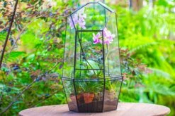 Large 2-Part 18.9" Tall Close Glass Terrarium For Orchid, Fern, Moss, Watertight -Terrarium Plant Hub IMG 1424