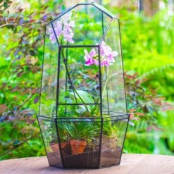 Large 2-Part 18.9" Tall Close Glass Terrarium For Orchid, Fern, Moss, Watertight -Terrarium Plant Hub IMG 1424 a225ff38 c090 46d8 9526 91a4ca117fd2