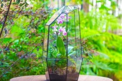 Large 2-Part 18.9" Tall Close Glass Terrarium For Orchid, Fern, Moss, Watertight -Terrarium Plant Hub IMG 1425