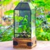 Handmade Glass Terrarium With Wood Base, Geometric Jumping Spider Enclosure, With Mesh Vent, For Plants, Snail, Insects 2 Handmade Glass Terrarium With Wood Base, Geometric Jumping Spider Enclosure, With Mesh Vent, For Plants, Snail, Insects -Terrarium Plant Hub IMG 1430 1