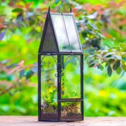 Mini Tall House Shape Jumping Spider Terrarium -Terrarium Plant Hub IMG 1450 1