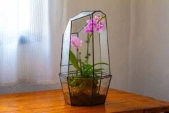 Large 2-Part 18.9" Tall Close Glass Terrarium For Orchid, Fern, Moss, Watertight -Terrarium Plant Hub IMG 1491