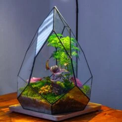 Large 16" Tall And Wide Teardrop Tin And Glass Terrarium, Close, With Door 24 Large 16" Tall And Wide Teardrop Tin And Glass Terrarium, Close, With Door -Terrarium Plant Hub IMG 1559 ce701029 b15d 4848 a2be d687cd4e17d5