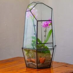 Large 2-Part 18.9" Tall Close Glass Terrarium For Orchid, Fern, Moss, Watertight