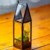 Mini Tall House Shape Jumping Spider Terrarium -Terrarium Plant Hub IMG 1626 1