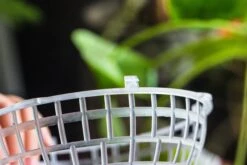 Environment Friendly Detachable Plastic Ball For Easy Moss Ball, Hanging Planters, Wall Mounted Planting Idea, Suitable For Orchid, Staghorn Fern 30 Sets -Terrarium Plant Hub IMG 1628