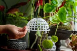 Environment Friendly Detachable Plastic Ball For Easy Moss Ball, Hanging Planters, Wall Mounted Planting Idea, Suitable For Orchid, Staghorn Fern 30 Sets -Terrarium Plant Hub IMG 1632