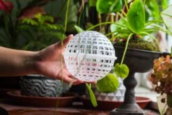 Environment Friendly Detachable Plastic Ball For Easy Moss Ball, Hanging Planters, Wall Mounted Planting Idea, Suitable For Orchid, Staghorn Fern 30 Sets -Terrarium Plant Hub IMG 1633