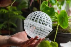 Environment Friendly Detachable Plastic Ball For Easy Moss Ball, Hanging Planters, Wall Mounted Planting Idea, Suitable For Orchid, Staghorn Fern 30 Sets -Terrarium Plant Hub IMG 1634