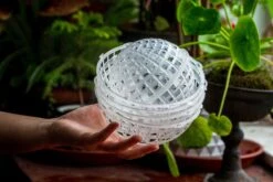 Environment Friendly Detachable Plastic Ball For Easy Moss Ball, Hanging Planters, Wall Mounted Planting Idea, Suitable For Orchid, Staghorn Fern 30 Sets -Terrarium Plant Hub IMG 1635