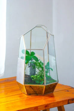 16.1" Large Irregular Geometric Glass Terrarium, Close, Vented Silver, For Tropical Plants, And Large Insects -Terrarium Plant Hub IMG 1854 2 bed8045a ea35 46af 8fc9 b30de41b9a1b