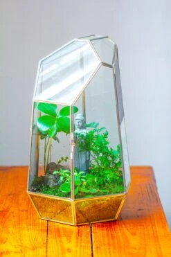 16.1" Large Irregular Geometric Glass Terrarium, Close, Vented Silver, For Tropical Plants, And Large Insects -Terrarium Plant Hub IMG 1862