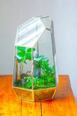 16.1" Large Irregular Geometric Glass Terrarium, Close, Vented Silver, For Tropical Plants, And Large Insects -Terrarium Plant Hub IMG 1862 2 91853160 ead4 4abc 8173 ee927efc5a95