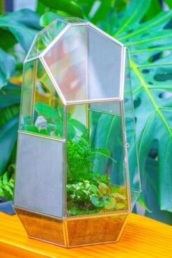 16.1" Large Irregular Geometric Glass Terrarium, Close, Vented Silver, For Tropical Plants, And Large Insects -Terrarium Plant Hub IMG 1871 5511c26e 47d4 4aca a8ec 444ede24c7a9