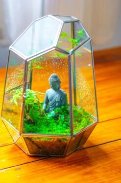Silver 9.8" Irregular Geometric Glass Terrarium, Close, Well Vented, For Tropical Plants, And Insects -Terrarium Plant Hub IMG 1895