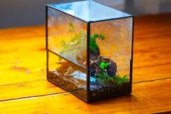 Handmade 7x7 Inches Watertight Glass Terrarium With Door, For Moss 25 Handmade 7x7 Inches Watertight Glass Terrarium With Door, For Moss -Terrarium Plant Hub IMG 1946