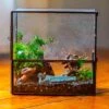 Handmade 7x7 Inches Watertight Glass Terrarium With Door, For Moss -Terrarium Plant Hub IMG 1952 1